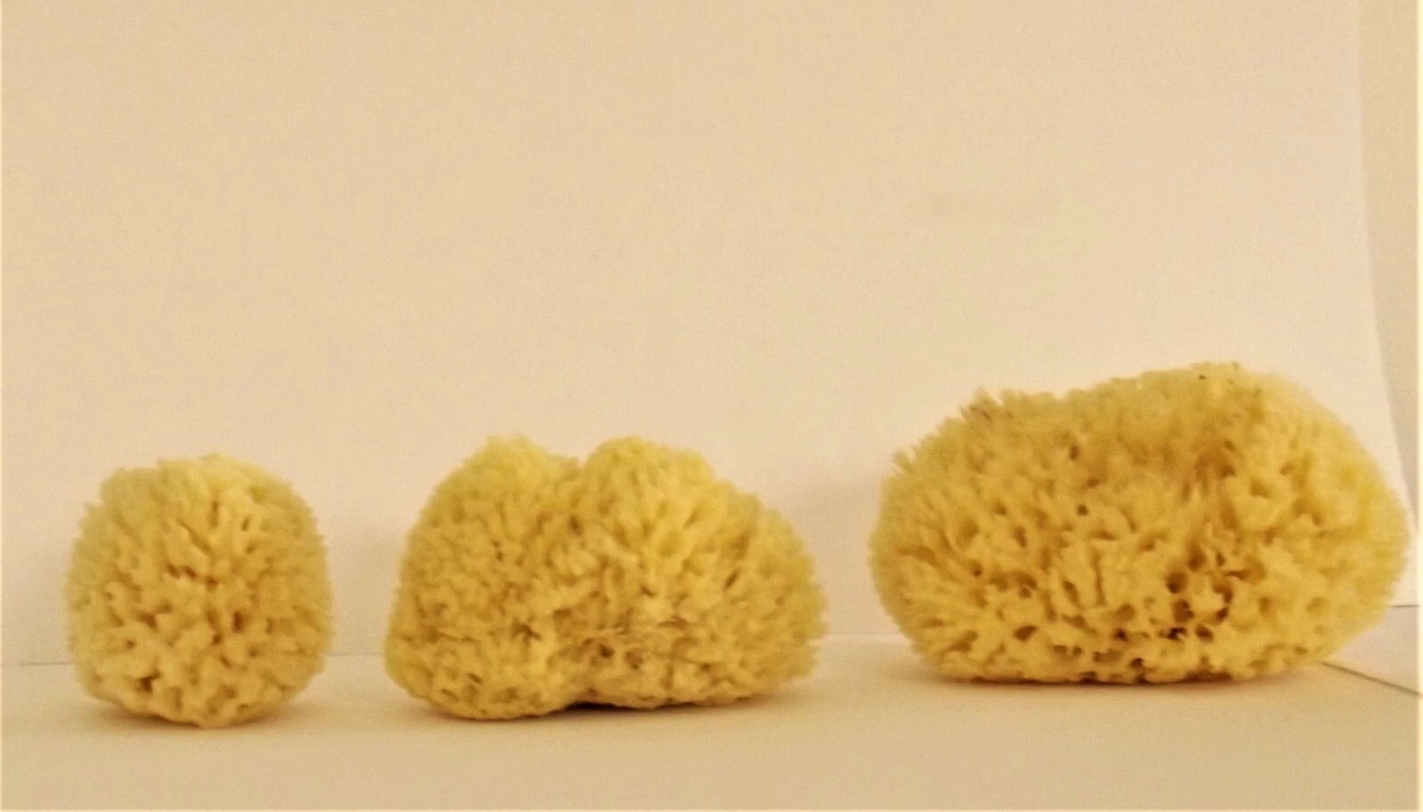 100% Natural Honeycomb Sponge from Greek Seas, Yellow Colour