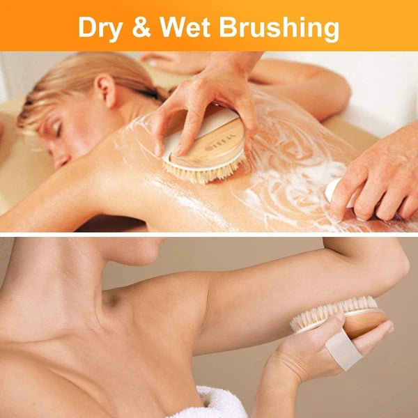 Body Back Bath Brush Shower Scrubber W/ Bristles for Shower Wet Dry Exfoliating