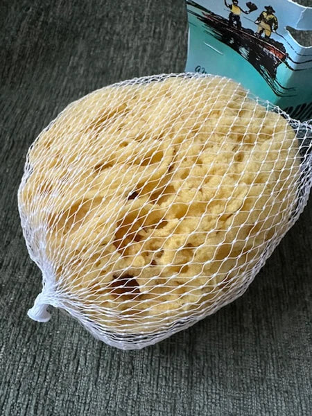 Large Natural Sea Sponge Bowl and body sponge