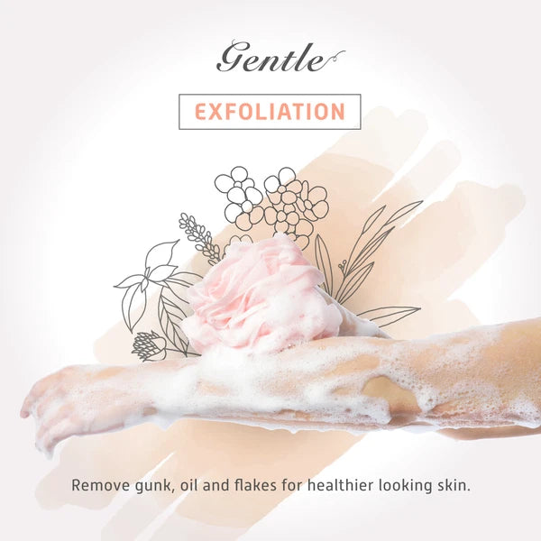 Deep Cleansing Loofah Sponge, Pack of 4, Bath and Shower, Exfoliating Body