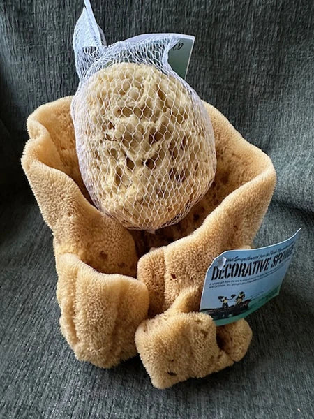 Large Natural Sea Sponge Bowl and body sponge