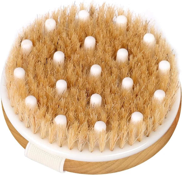 Body Back Bath Brush Shower Scrubber W/ Bristles for Shower Wet Dry Exfoliating