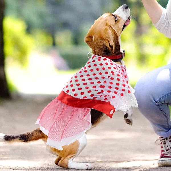 3 Pack Long Handle Bath Brush Skin Scrubber Exfoliation for Body