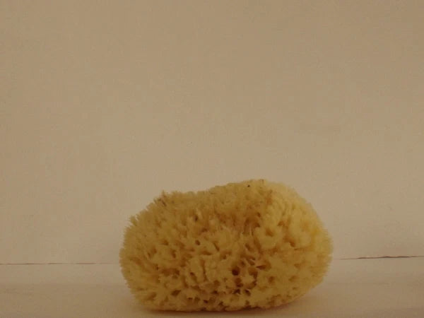 100% Natural Honeycomb Sponge from Greek Seas, Yellow Colour