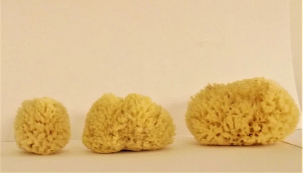 100% Natural Honeycomb Sponge from Greek Seas, Yellow Colour